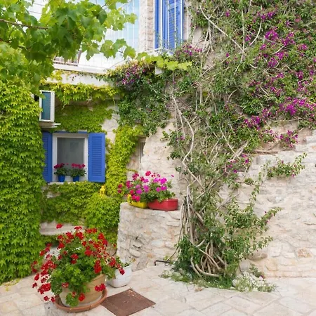 Helloapulia Trullo Fiore Di Mare 트라니