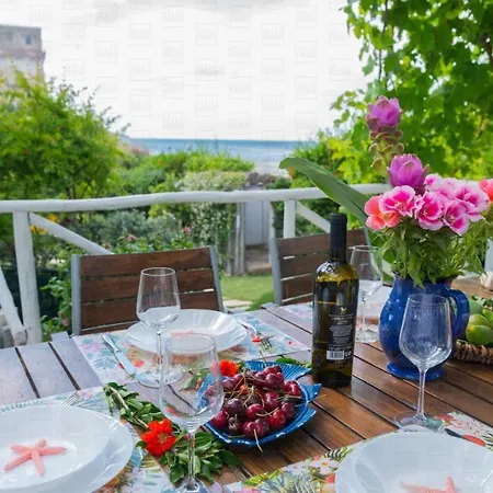 Helloapulia Trullo Fiore Di Mare * 트라니